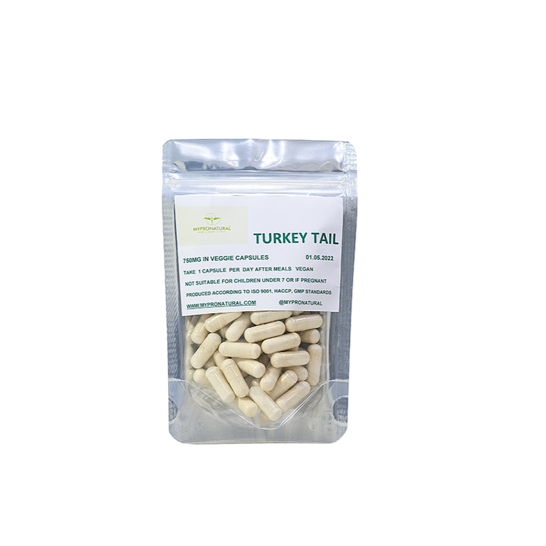 Turkey Tail 100 Capsules 750mg